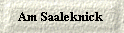  Am Saaleknick  